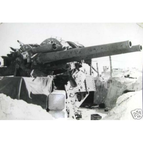 cache_500_..cjpg.img.jpg