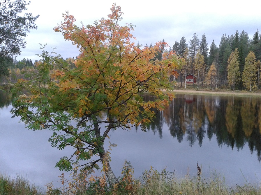 20130927_173149.jpg