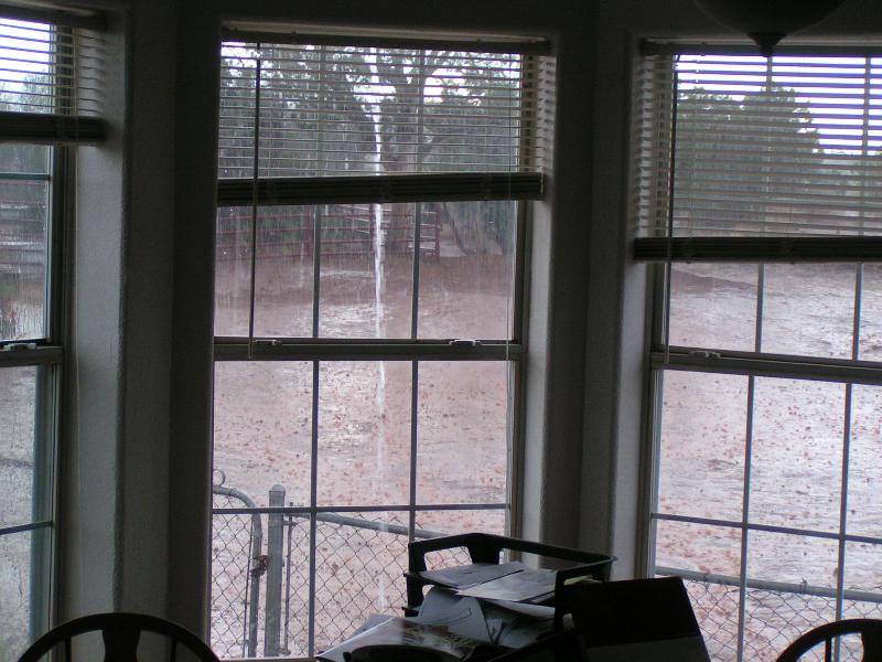 PICT0433.jpg