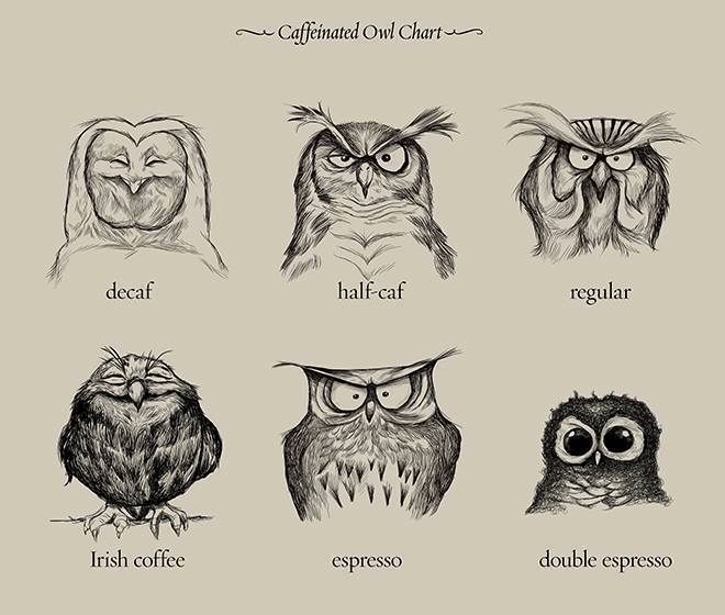 Coffee.jpg