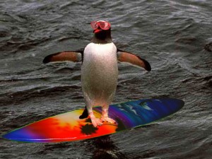 surfing-pe..-300x225.jpg