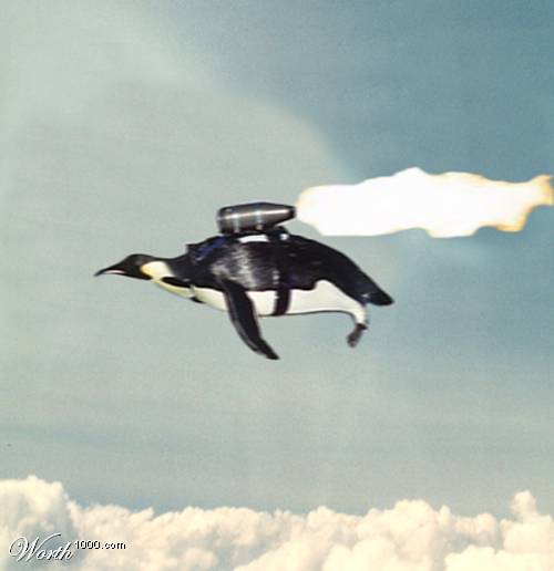 Flying_Penguin.jpg