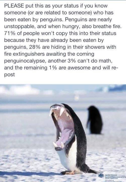 Angry peguin.jpg