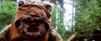 ewok.jpg
