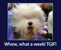 tgif.jpg