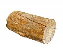 log.jpg