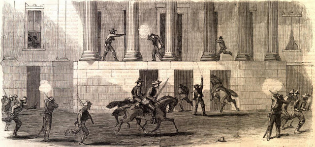 forrest te..Picture2.jpg