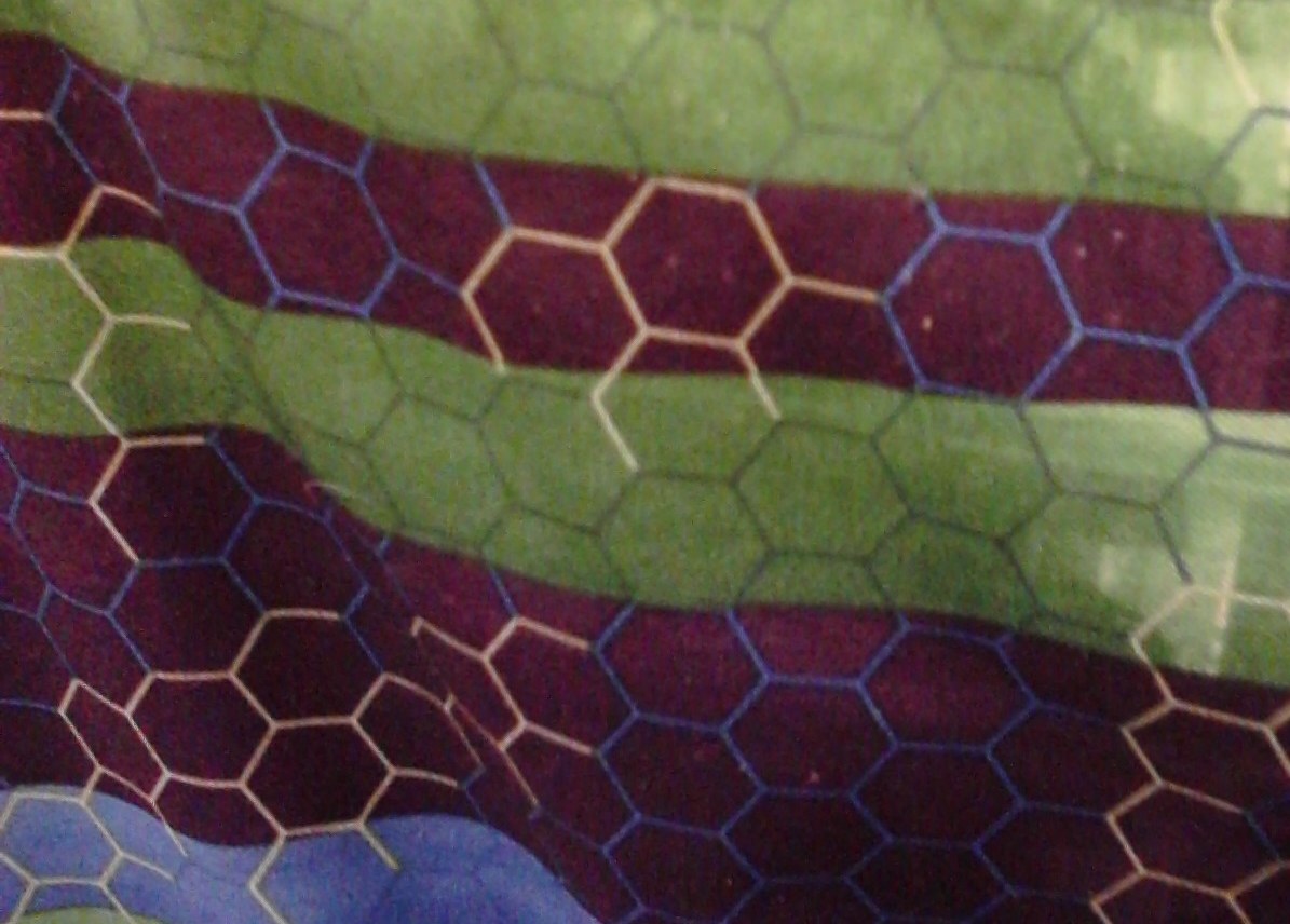 Hex Shorts-s.jpg