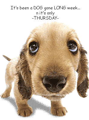 thursday.gif