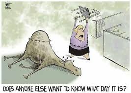 Wed.jpg