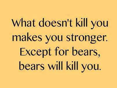 BearsKill.jpg