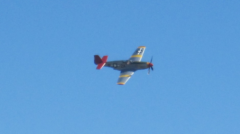 P51Binair.jpg
