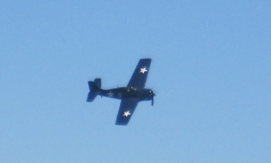 F4F in air.jpg