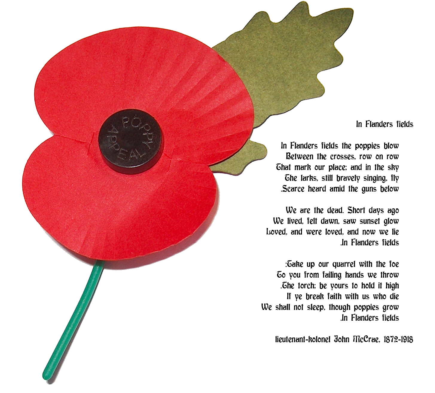 remembranc..aypoppy.jpg