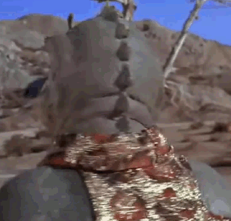 a.gif