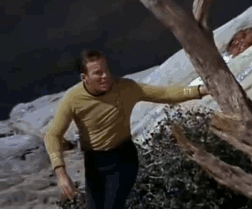 h.gif