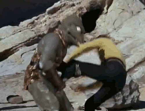 l.gif