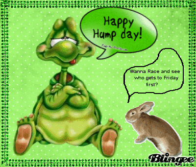 happyhumpday.gif