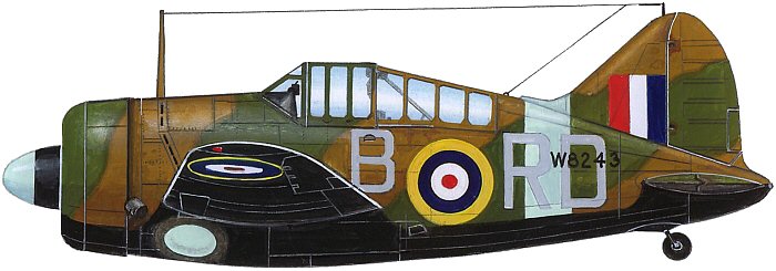raf-buffalo.jpg