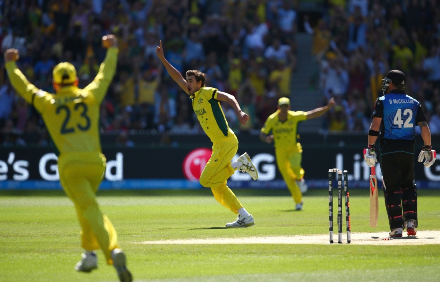 Mitchell Starc_e.jpg