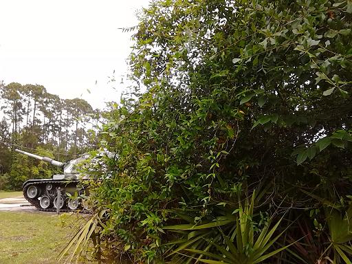 smalltankwoods.jpg