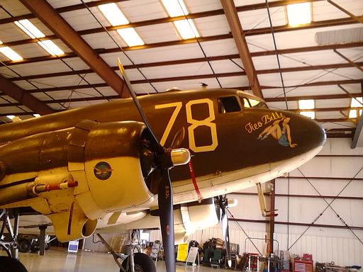 warbirdmus001small.jpg