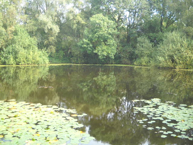 DSCN0436.jpg