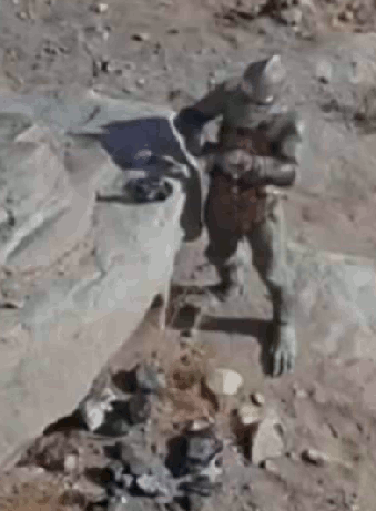 5 gorn fid..500 crop.gif