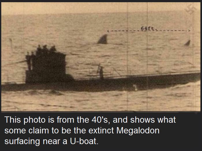 196085.jpg