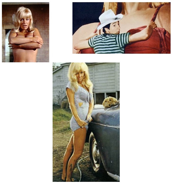 JoyHarmoncollage.jpg