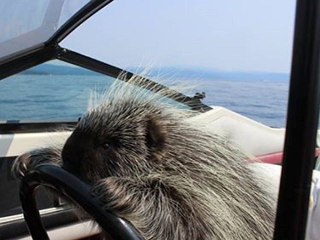 6357466210..ing-boat.jpg