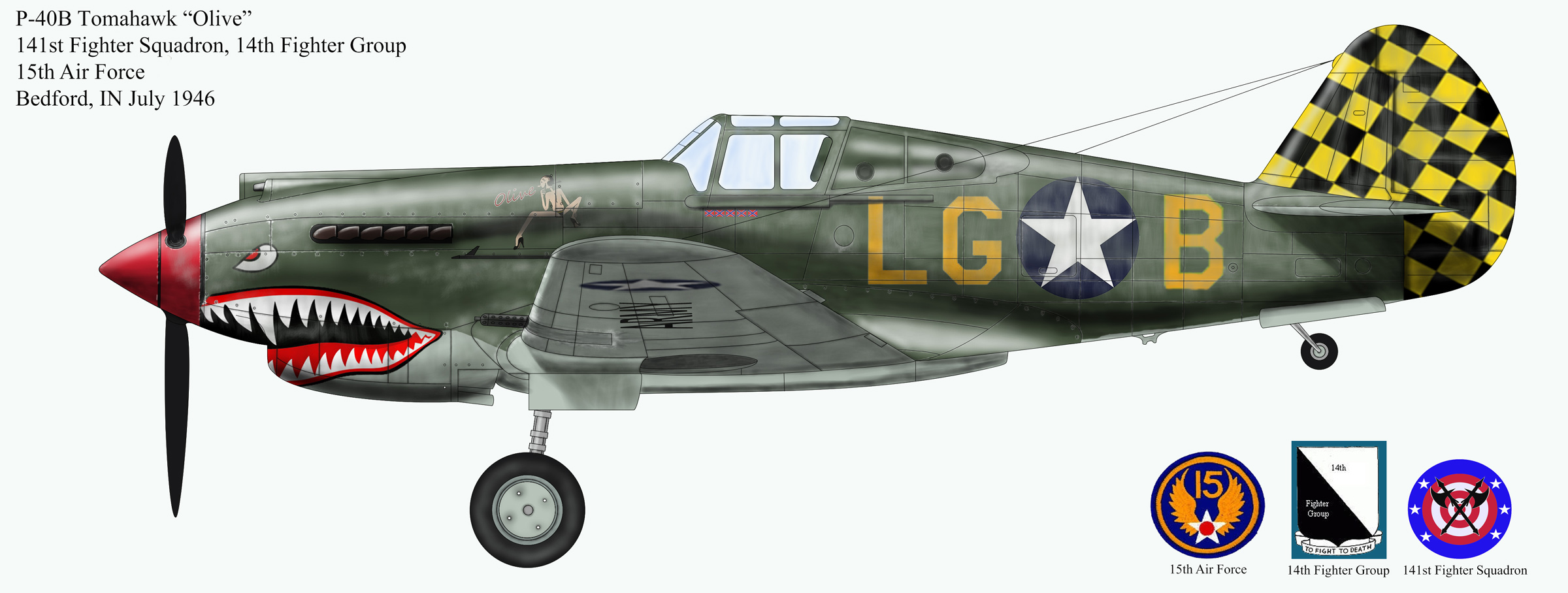 P40B_1_0v3_1_post.jpg