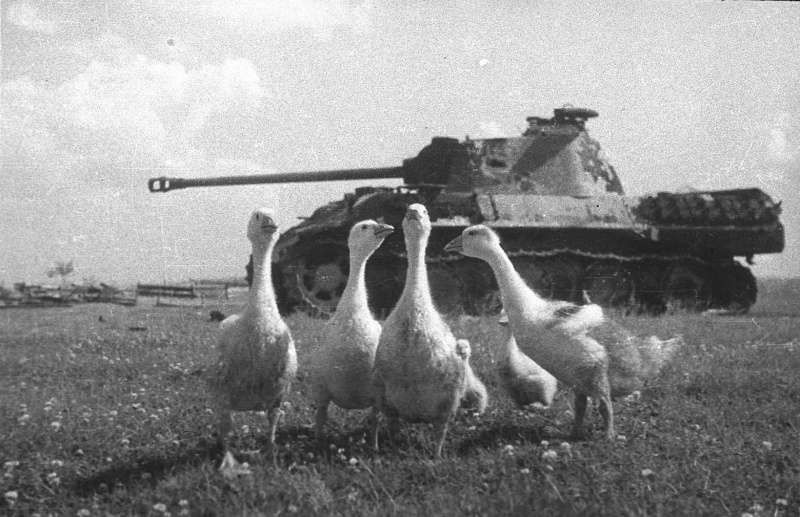 Tankcrew.jpg
