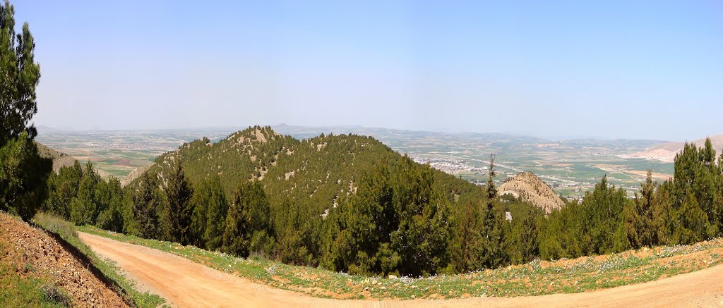 mt.jpg