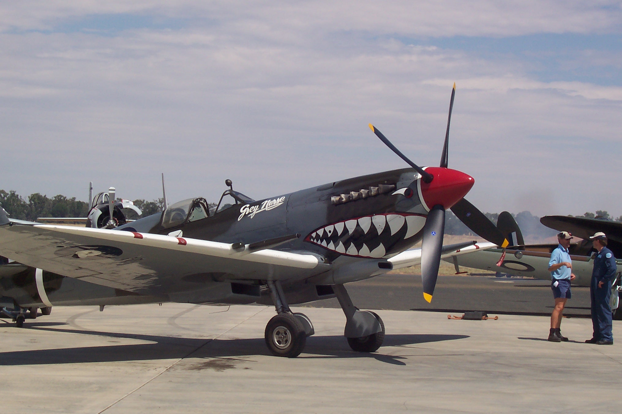 SpitfireVIII1.jpg