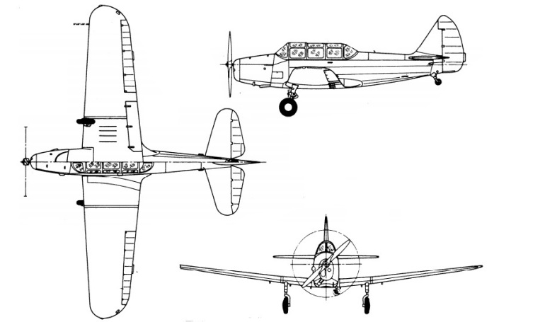 PT 19.jpg