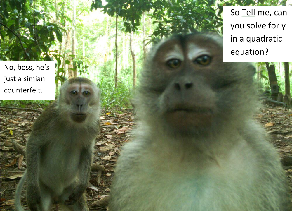 quadraticmonkey.jpg