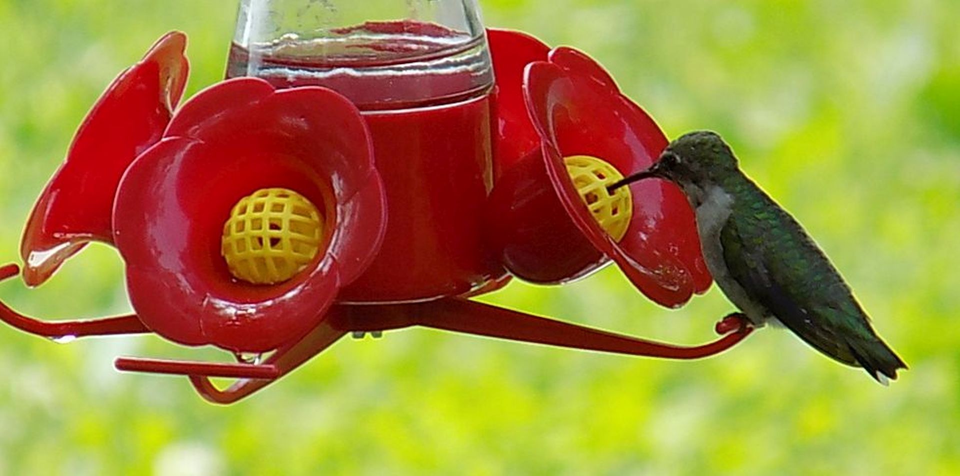 hummer2a.jpg