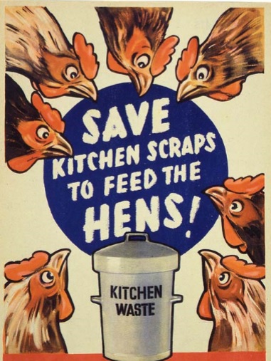 chickens.jpg