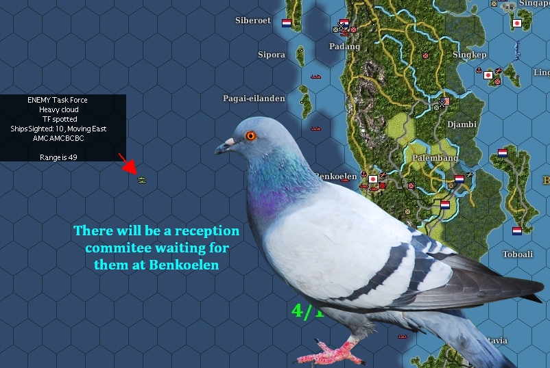 416force..hpigeon.jpg