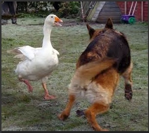 Untitled.jpg