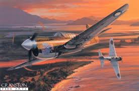P40vszero.jpg