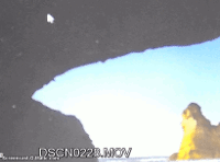 cursor20200.gif