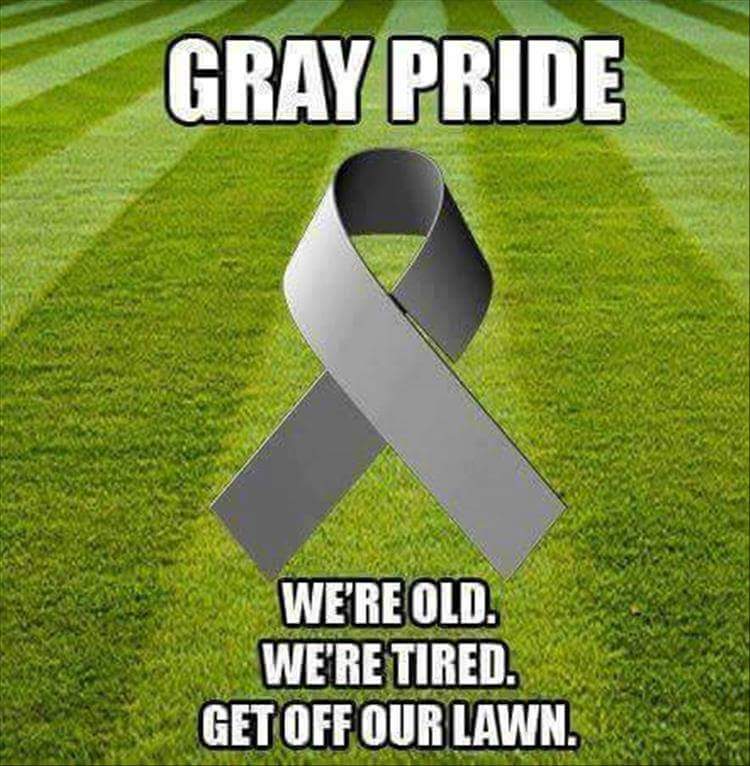 Gray pride.jpg