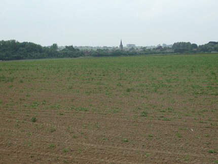 ligny8b.jpg