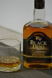 BlackDog.jpg