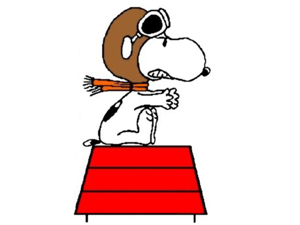 Snoopypea..1024768.jpg