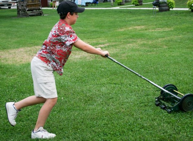 LamnMower..630x461.jpg