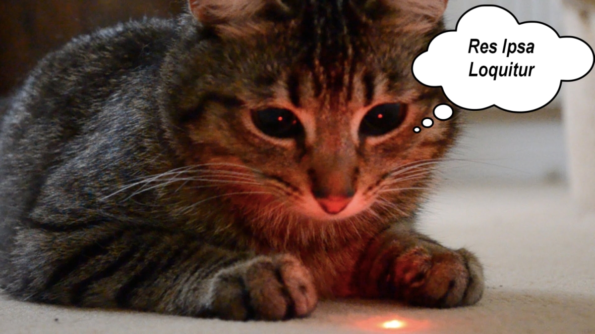 lasercat2wres2.jpg
