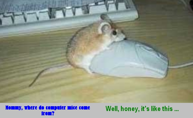 Funnymous..ermouse.jpg
